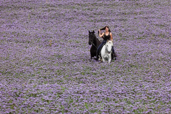 Eine Junge Langhaarige Frau Reitet Schnell Auf Einem Weißen Pferd — Stockfoto