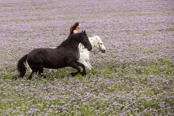 Long Haired Woman Riding Fast White Horse Purple Field — Stock Photo, Image