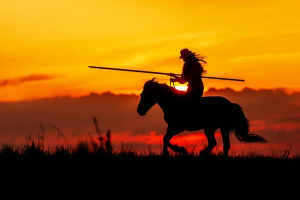 Horizont Die Silhouette Einer Frau Pferd Gegenlicht — Stockfoto