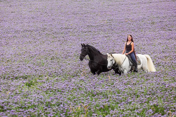 Young Woman Rides Purple Field Two Horses — Stock Photo, Image