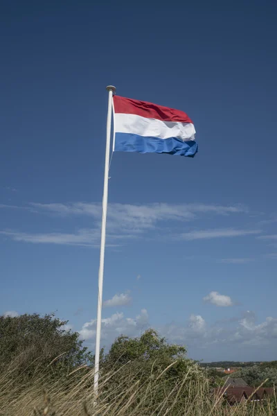 Nederländska flaggan — Stockfoto