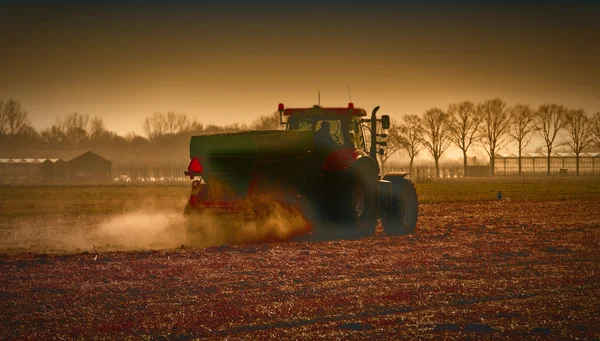 Working at the field — Stock Photo, Image