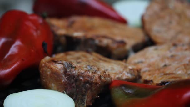 М'ясо на барбекю з помітками грилю — стокове відео