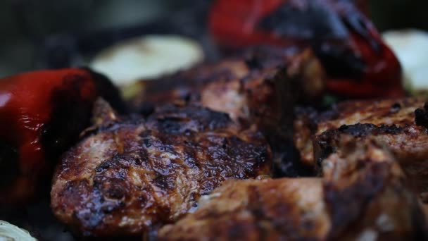 Carne en la barbacoa con parrillas — Vídeo de stock