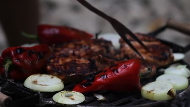 Carne en la barbacoa con parrillas — Vídeos de Stock