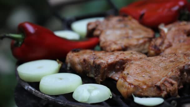 Carne en la barbacoa con parrillas — Vídeo de stock