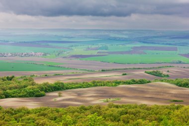 Yaz manzara mavi gökyüzü ve yeşil buğday.