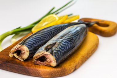 Beyaz arka plan üzerinde uskumru balığı (Scomber scrombrus)