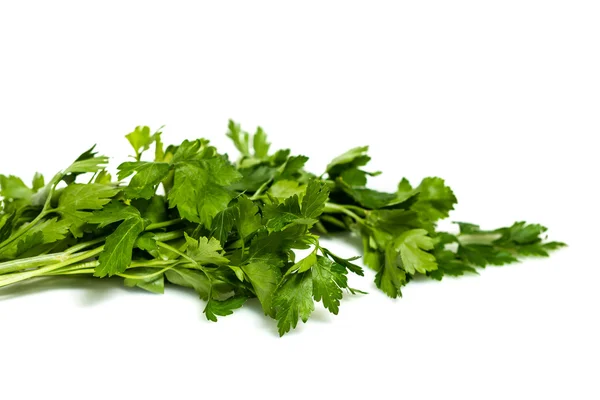 Green tops of parsley on white background — Stock Photo, Image