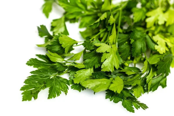 Green tops of parsley on white background — Stock Photo, Image