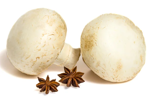 Mushrooms and star anise isolated on a white background — Stock Photo, Image