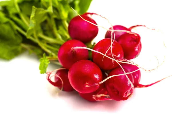 Bunch of fresh red radishes with green tops isolated on white background — Stock Photo, Image