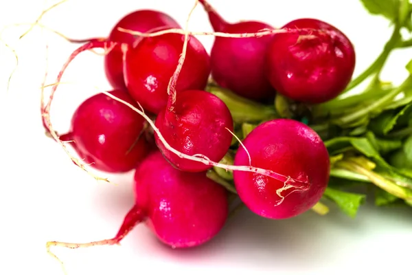 Bunch of fresh red radishes with green tops isolated on white background — Stock Photo, Image