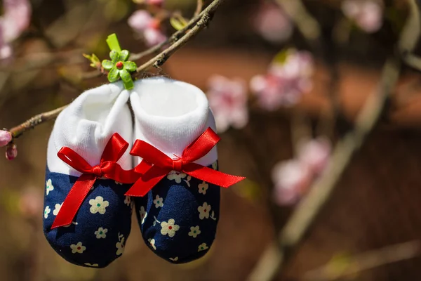 Baby slippers hanging on a branch of blossoming tree — Stock Photo, Image