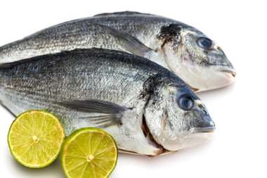 Çipura balık izole limon ile