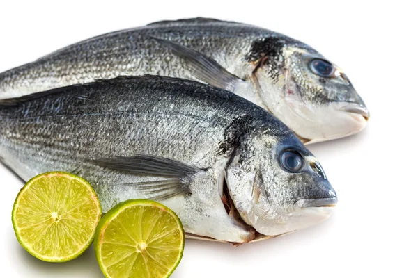 Bream peixe com limão isolado — Fotografia de Stock