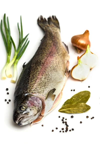 Truta de salmão fresca com folha baia, pimenta preta e cebola isolada — Fotografia de Stock