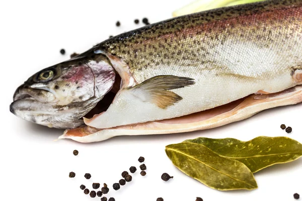 Свежий лосось форель с лавровым листом, черный перец и лук изолированы — стоковое фото