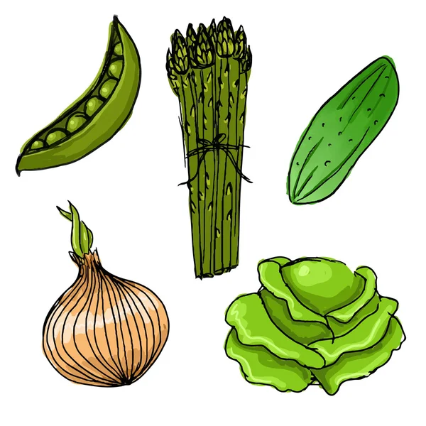 Hand drawn vegetables — Stock Vector