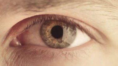 Güzel bir insan gözüne yaklaş. Tek gözün yeşil makro çekimi. Gri bir arka planda, yakından çekilen göz kırpmaları ve bakışlar. Göz kapakları, iris, görüş konsepti. 4K UHD video
