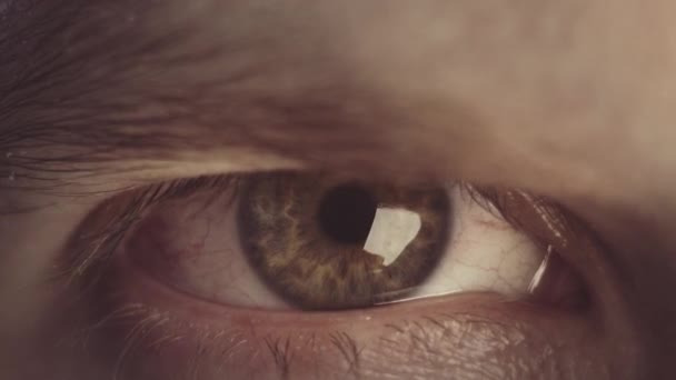 Regarde la caméra sans cligner des yeux. Gros plan sur l'œil humain. Iris, pupille, cils. Concept de santé visuelle. — Video