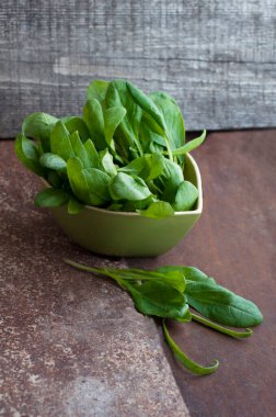 Koyu arkaplanda yeşil kâsede taze ıspanak.