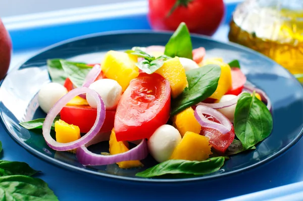 Salat Mit Mango Mozzarella Basilikum Roten Zwiebeln Tomaten Und Olivenöl — Stockfoto