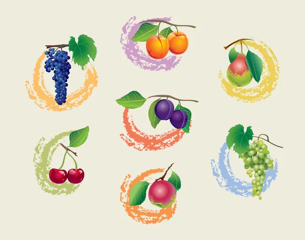 Conjunto de frutas — Archivo Imágenes Vectoriales