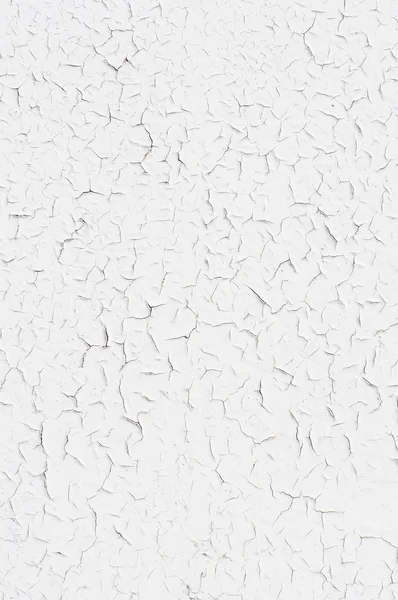 Grunge beyaz arkaplanı