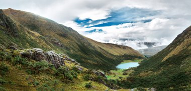 Polylepis orman yüksek Andes