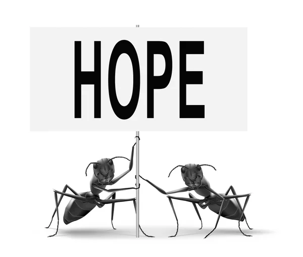 Hope bright future hopeful — Stock Photo, Image