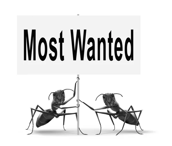 Most wanted sign — Stock Photo, Image