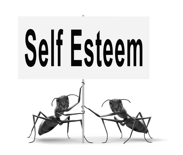 Self esteem or respect confidence — Stock Photo, Image