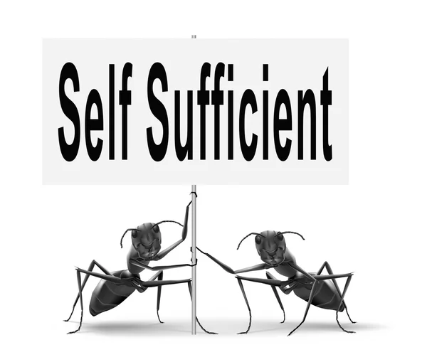 Self sufficiency road sign — Stock Photo, Image