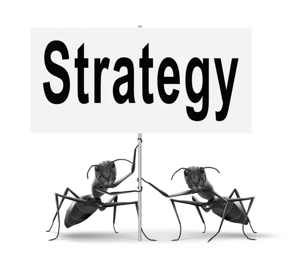 Strategy and business plan — Stock Photo, Image