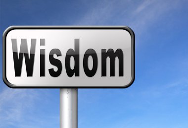 Bilgelik, eğitim ve bilgi