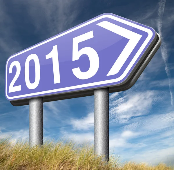 2015 new year — Stock Photo, Image