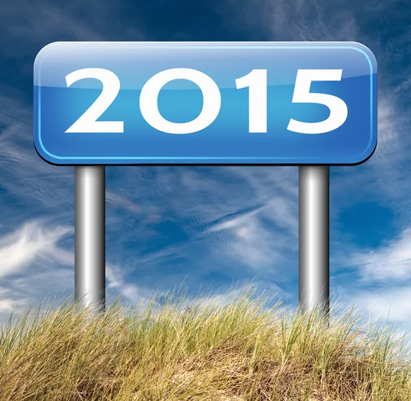 2015 new year — Stock Photo, Image