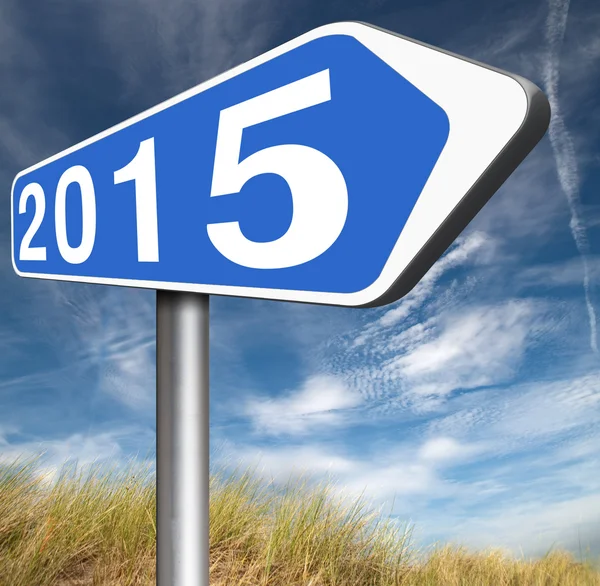 2015 new year — Stock Photo, Image