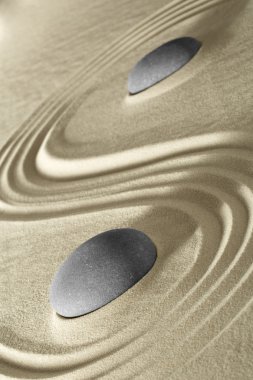 Japon zen bahçe taşları