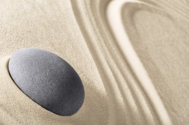 Japon Zen Bahçesi