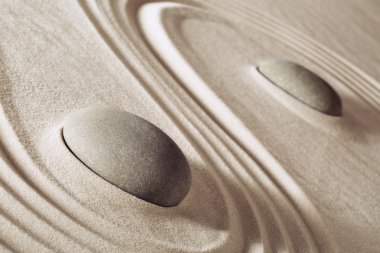 Japon zen bahçe taşları