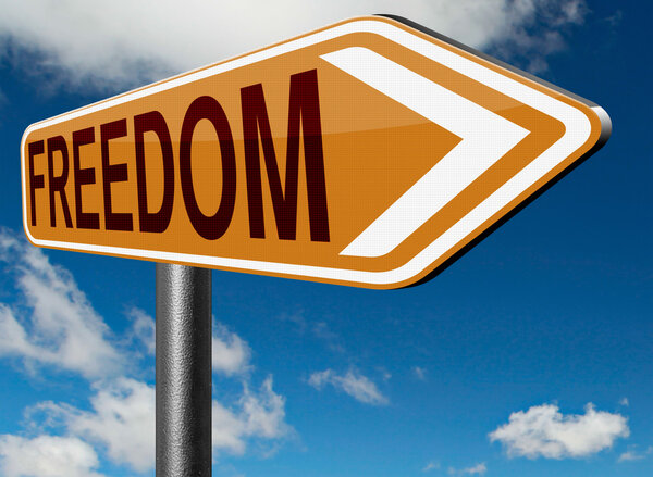 Свобода мирной свободной жизни без ограничений
