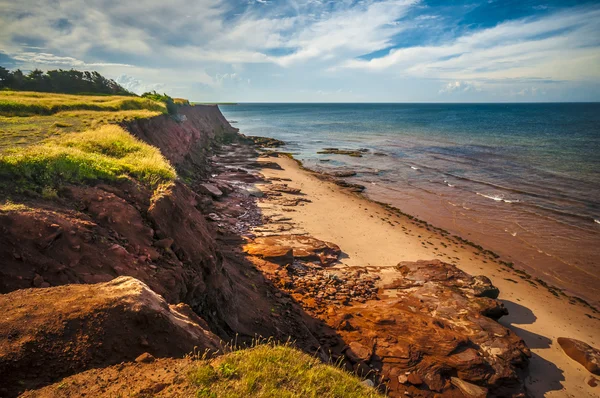 Eroded beach cliff — Stock Photo, Image