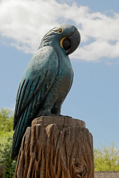 Carved blue macaw parrot — Stock Fotó