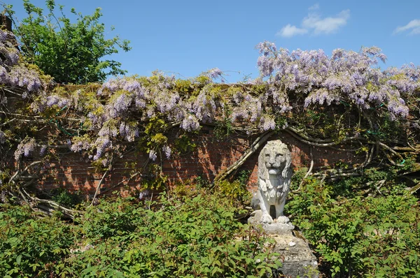 Statue de lion dans un vieux jardin clos — Photo