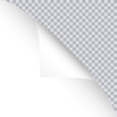 Sayfa curl boş kağıt üzerine gölge ile