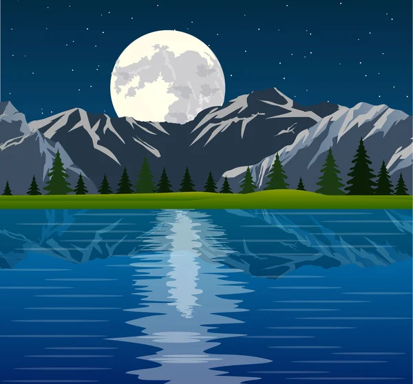 Full moon and group of trees reflected — Stock Illustration Full moon and group of trees reflected Stock Illustration