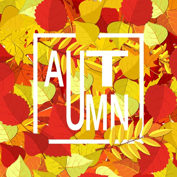 秋天的背景。橙色黄色秋天的叶子和文本. — 图库矢量图片