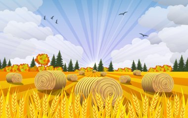 Kırsal manzara haystacks alanları ile.